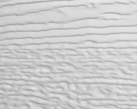 woodgrain