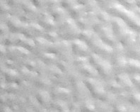 stucco